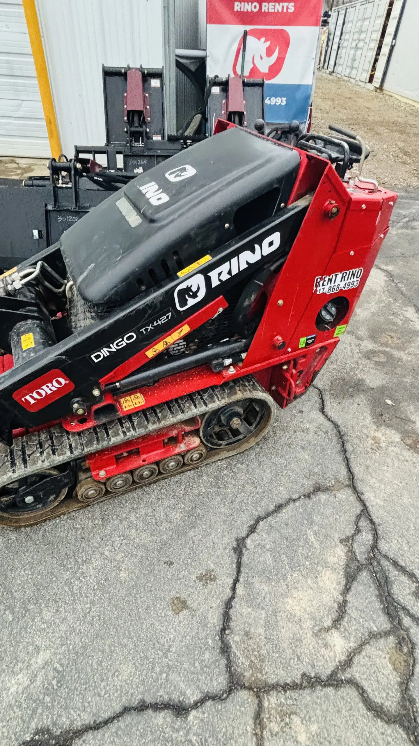 Toro dingo — photo 3