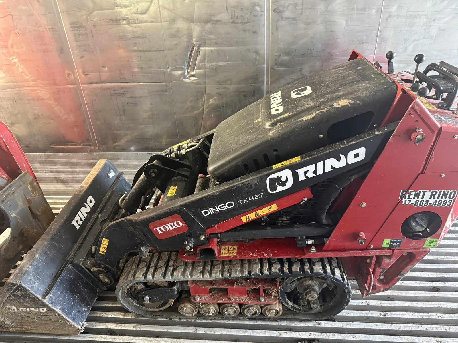Toro dingo — photo 2