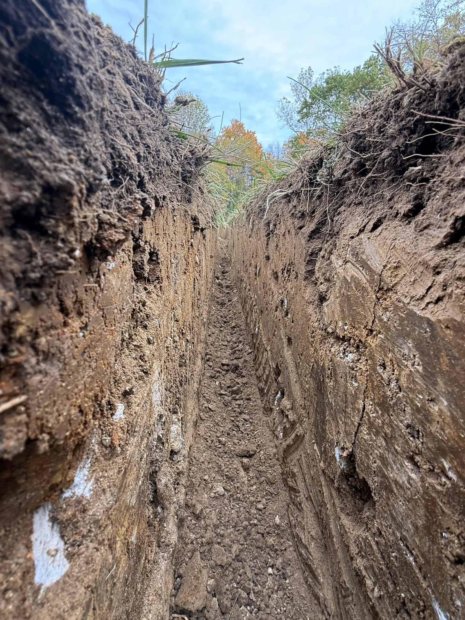Mini Skid Trencher — photo 16